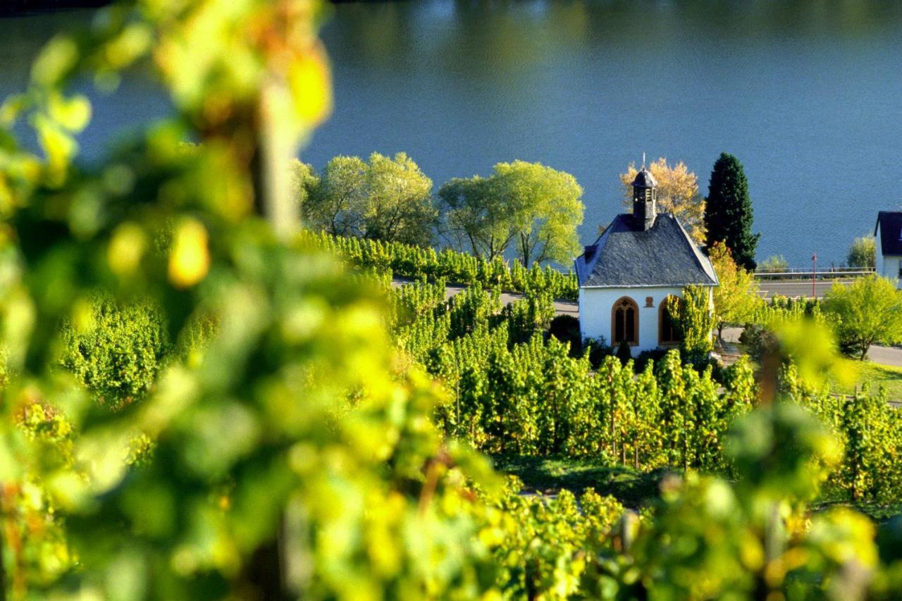 شقة Weingut Christoffel Kövenig المظهر الخارجي الصورة